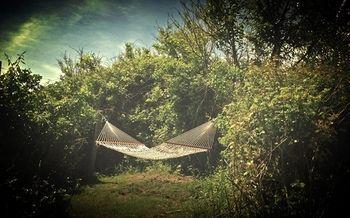 Sea Breeze Inn New Shoreham Esterno foto
