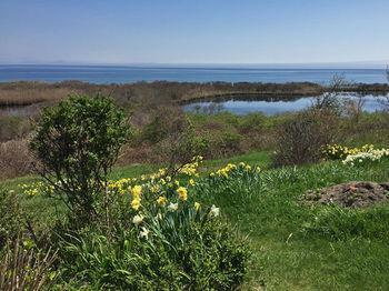 Sea Breeze Inn New Shoreham Esterno foto